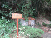卓锡泉